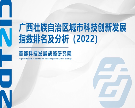 韩日男人操逼【成果发布】广西壮族自治区城市科技创新发展指数排名及分析（2022）